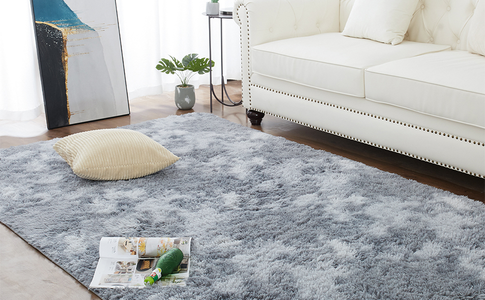 Tapis de Salon Shaggy