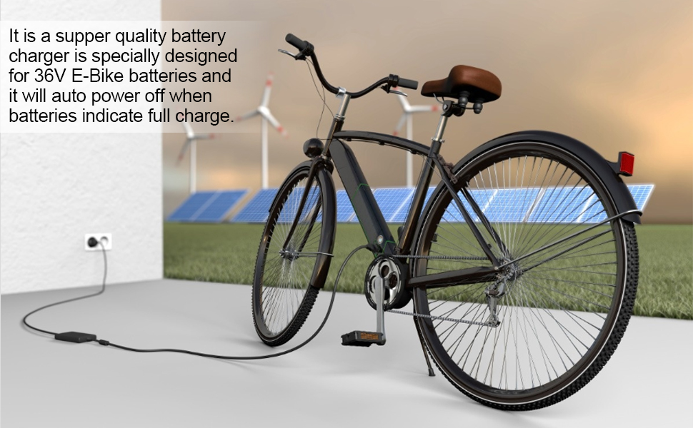 Electric Scooter Charger