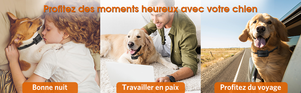 Profitez des moments heureux avec votre chien