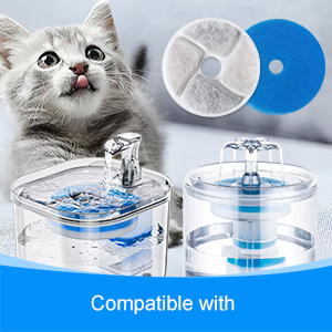 pet water filter replacement