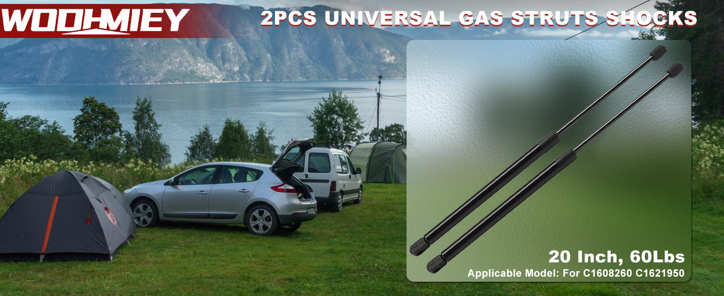 Gas Struts Shocks
