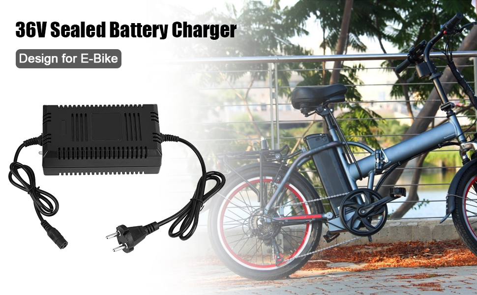 Electric Scooter Charger