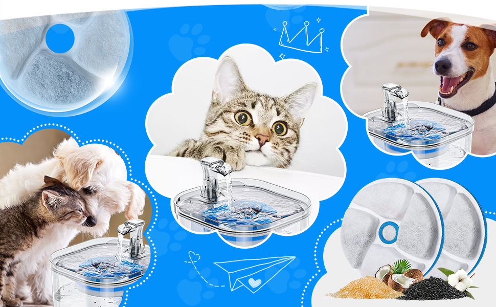 pet water filter