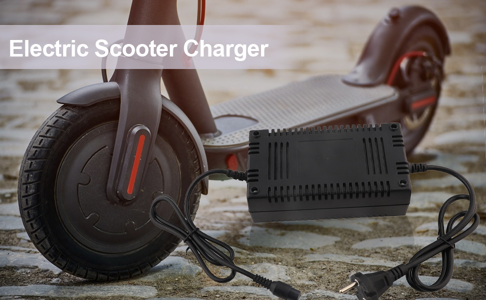 Electric Scooter Charger