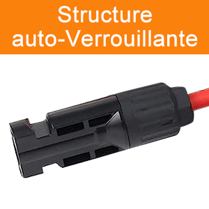 Structure  auto-Verrouillante