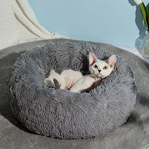 Lit apaisant pour petit chien 