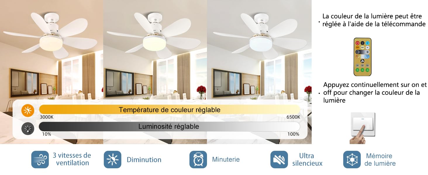 Ventilateur de Plafond avec Lumière