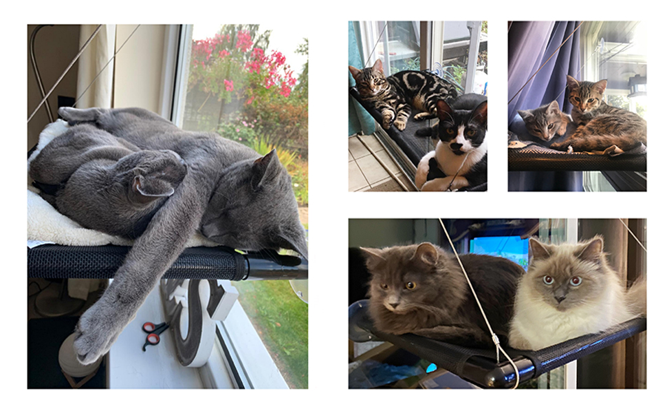 Hamac pour chats