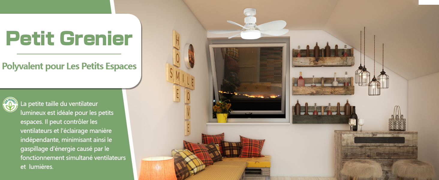 Ventilateur de Plafond Silencieux avec Lumiere et Telecommande Ventilateurs de Plafond avec Lampe