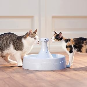 PetSafe fontaine à eau, hydratation, santé chien et chat