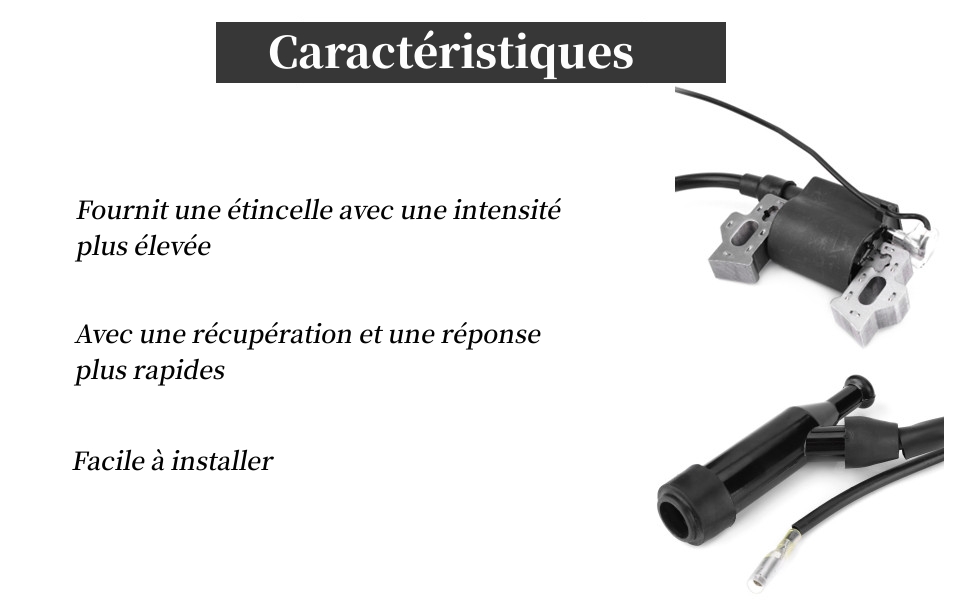 Bobine d'Allumage, Pièces de Générateur pour Générateur à Essence 168F-170F 2KW/3KW