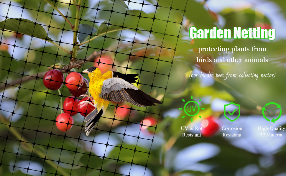 montrant un oiseau près de baies rouges derrière un filet en maille. Le texte décrit la protection des plantes contre les oiseaux et les animaux.