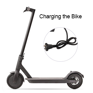 Electric Scooter Charger