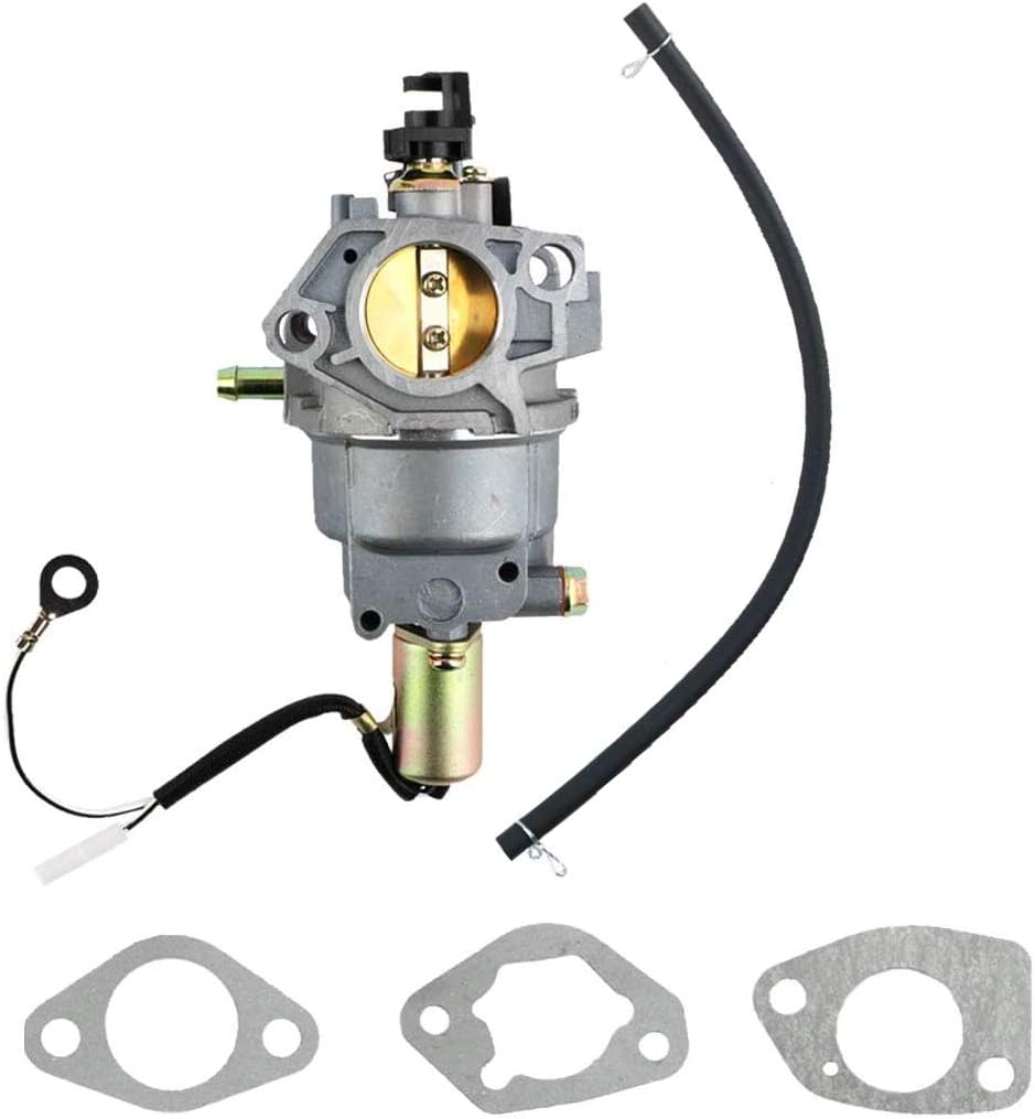 Carburateur MTD