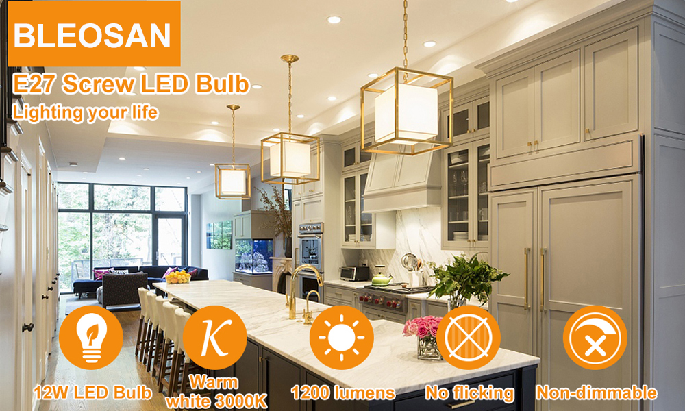 Ampoules LED E27