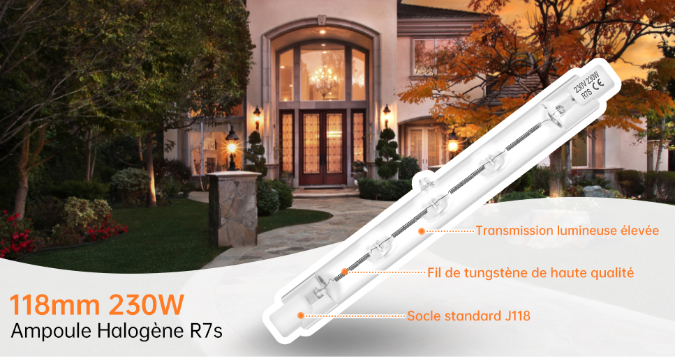 ampoule halogène r7s
