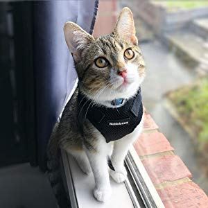 Harnais Chat/Harnais pour Chat/Laisse Harnais Chat Noir