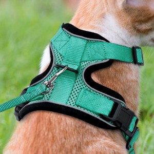 Harnais Chat/Harnais pour Chat/Laisse Harnais Chat Vert
