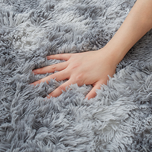 Tapis de Salon Shaggy