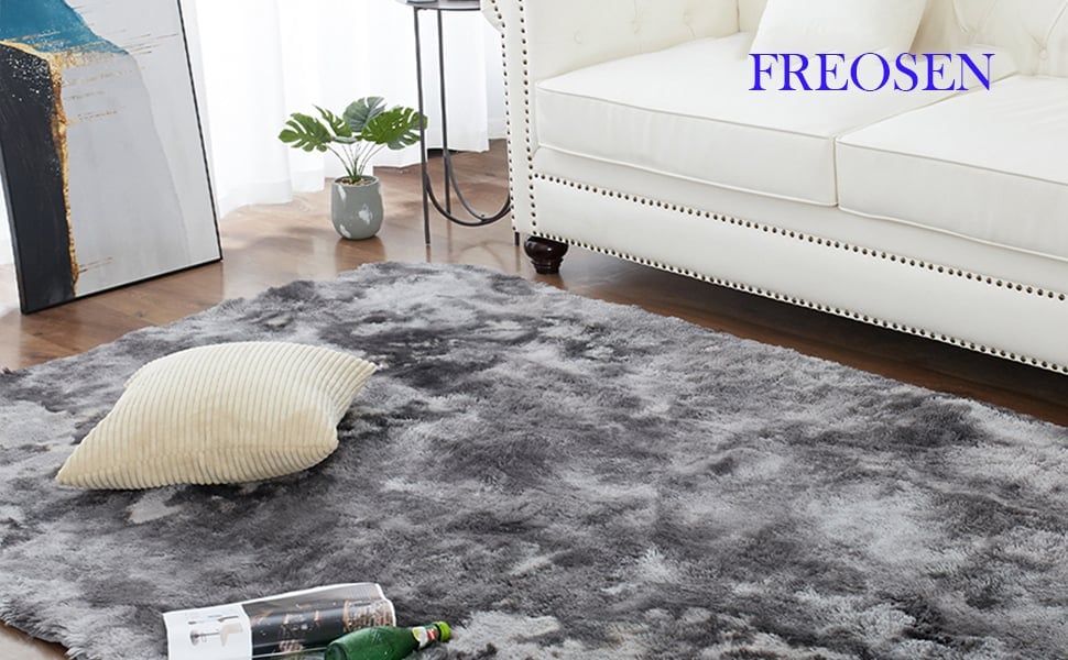 Tapis de Salon Shaggy