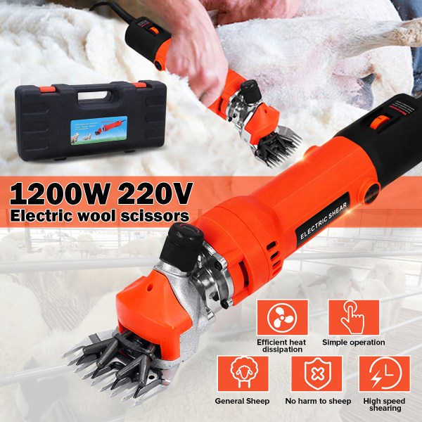 Tondeuse pour chien
