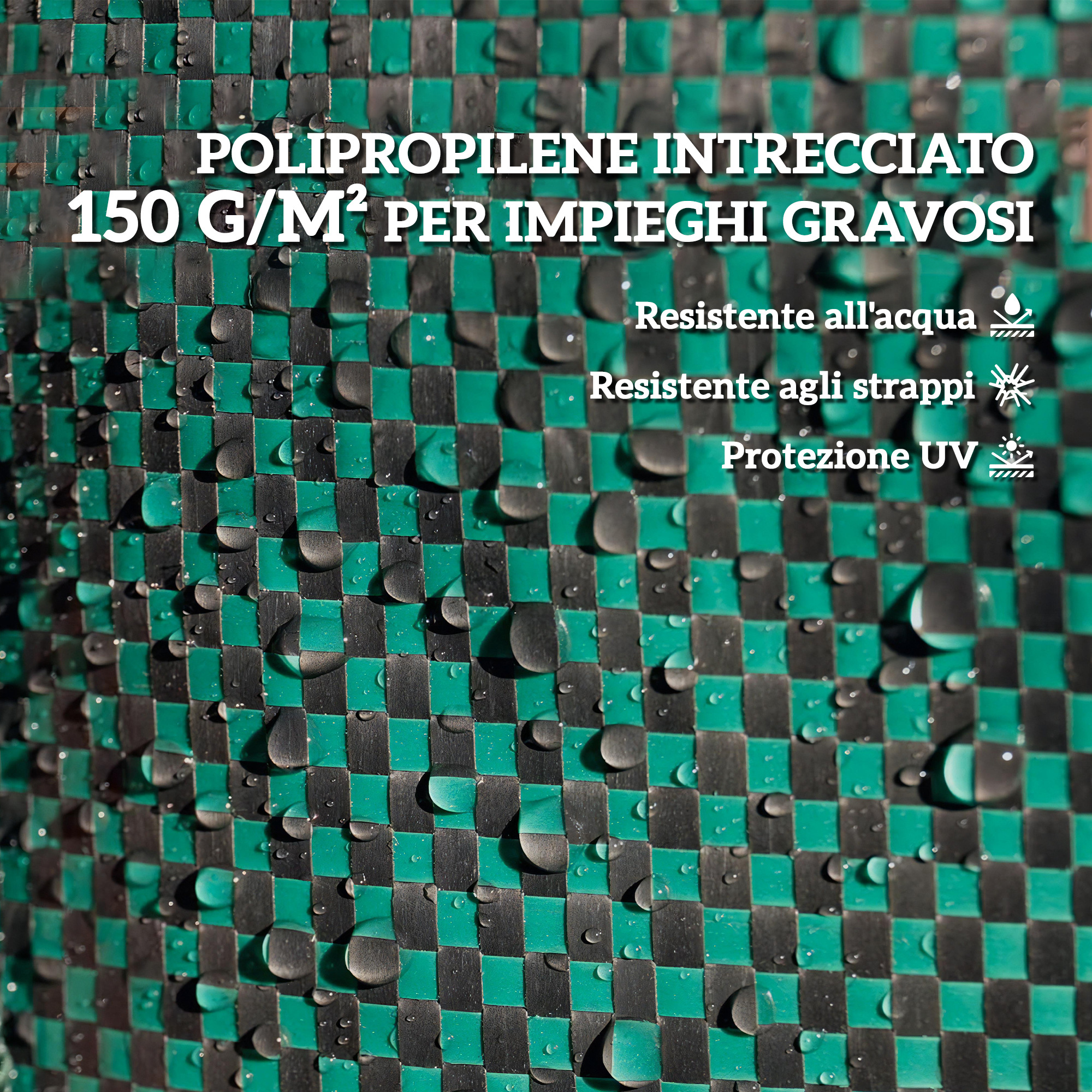 T1005-01-04616 image 1