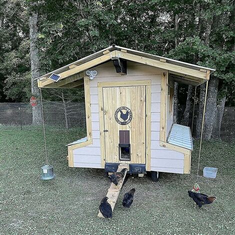 Kit De Porte De Poulailler Automatique, Porte De Poulailler Automatique Alimentée Par Batterie Avec Minuterie Et Capteur De Lumière, Accessoires De Poulailler -Trixie || Flamingo Soldes Magasin AAHKMJXYDAFdJAOAIMEbOAchMsjc3QZBtjSFHA9dqEpXPa1YmK4 kor0CUUL6 d8wCZkBrsFuaSbaYUs0i4 J EDAlj0JT5W9MiAOsG RDqkUkvXW41rBW8QkDi0THNFlI0=