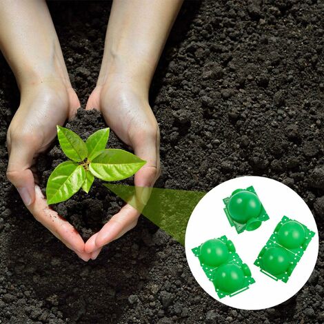 Boîte D'Enracinement De Plante Balle De Boîte De Greffage De Plantes De Jardin Assistée Par Dispositif De Greffage Contrôleur De Racine De Coupe Et De Racine Botanique, S, Vert (20 Pièces) -Terre Tendre Soldes Boutique AAHKMJXYDAFdJAOAIMEbOAchMsjc3QZBtjSFHA9dqEpXPa1YmK4 kor0CUUL6 d8wCZkBrsFuaSbaYUs0i4 J EDj8OWA5RMagho KSSvHuOSZnDEf5UbmZD4VsYUYLh5JU=