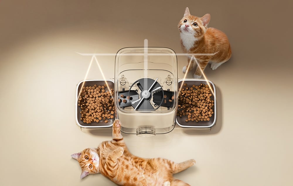 La foto muestra a 2 gatos pelirrojos junto al dispensador de comida.