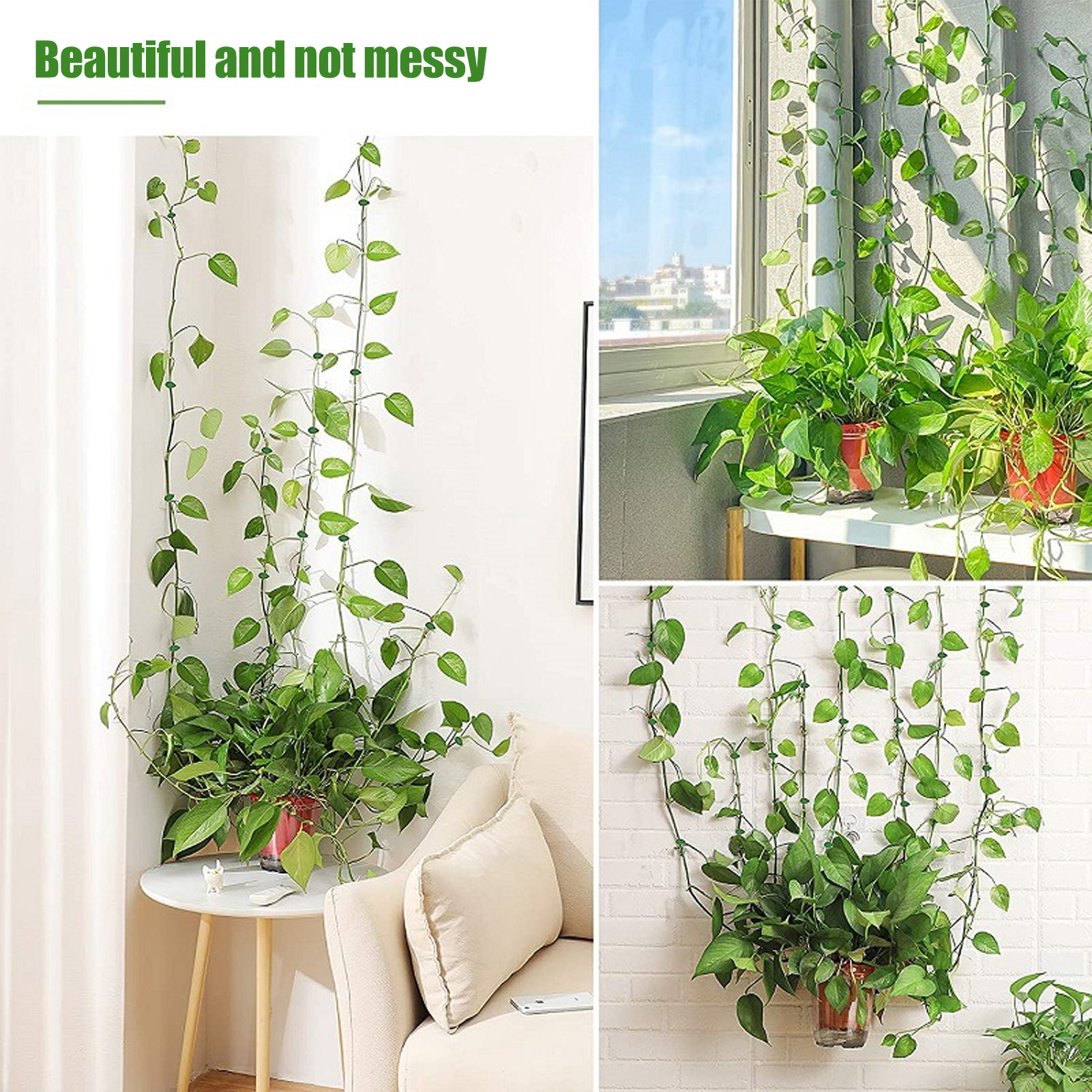 Clip de fixation murale pour plantes grimpantes