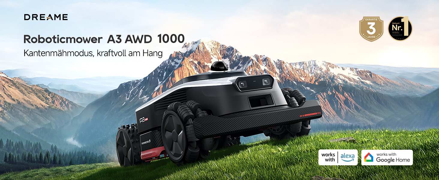 A3 AWD 1000-EUA German detail image 01