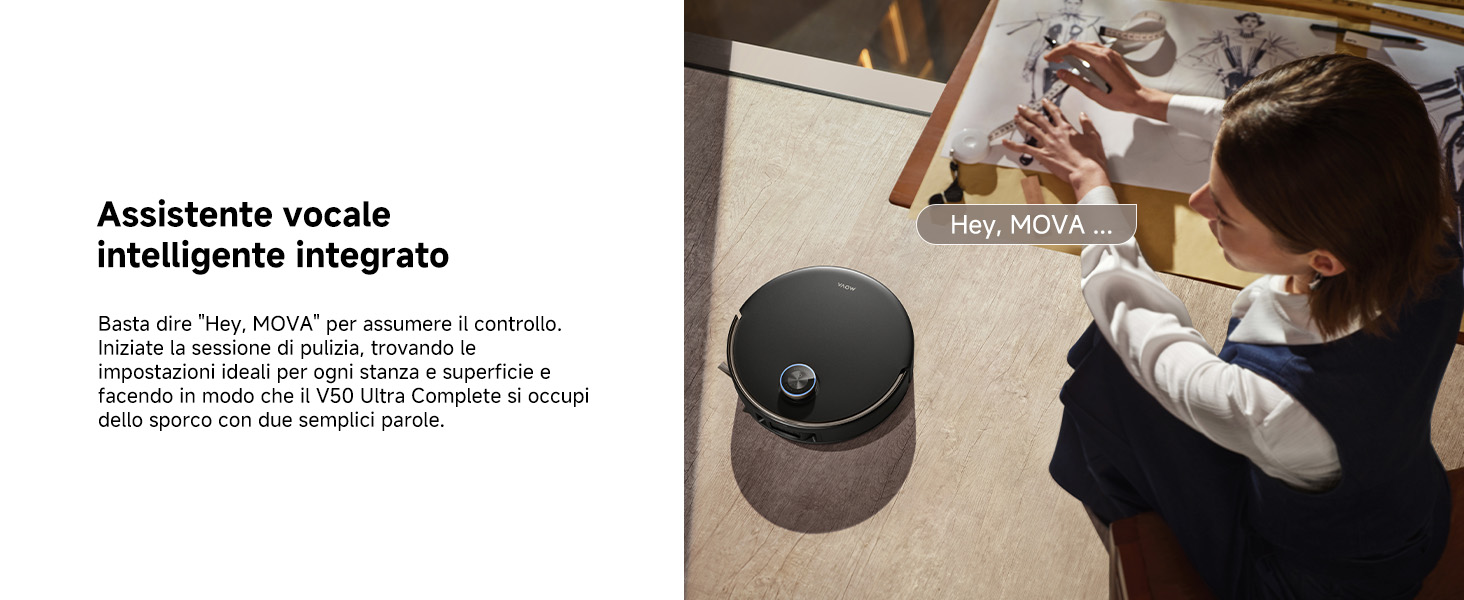 Voice Assistant