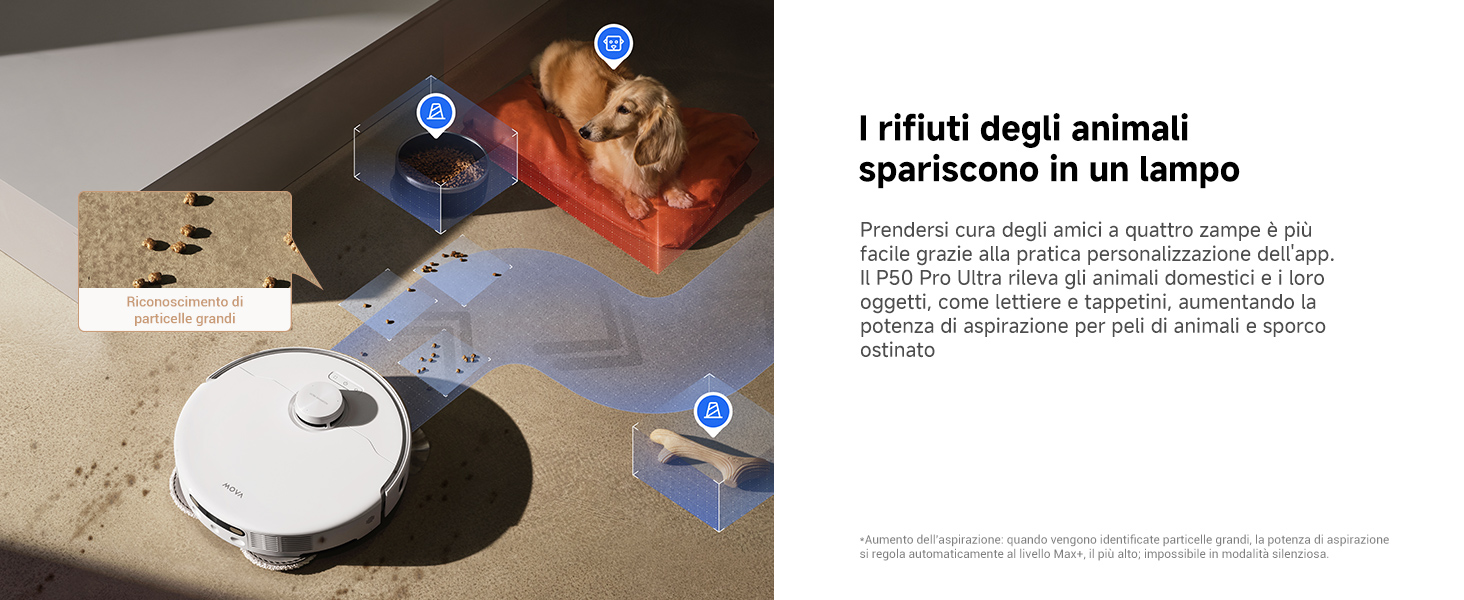 Pet Friendly Cleaning