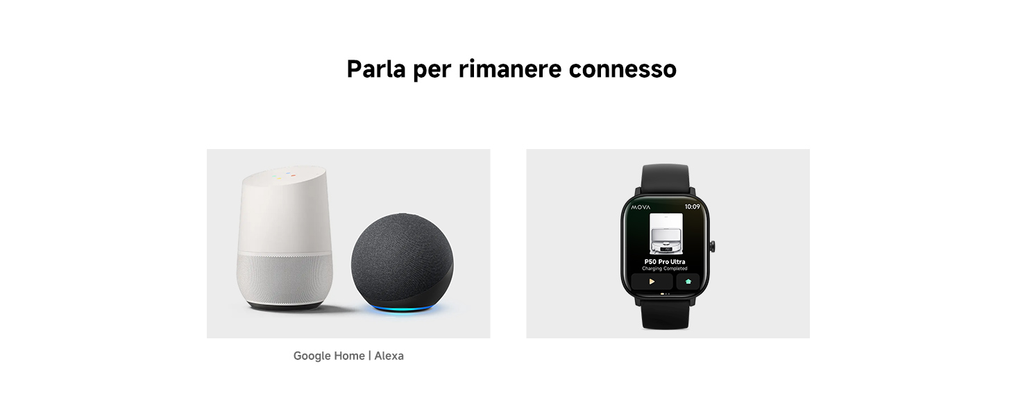 Voice Assistant Support 1