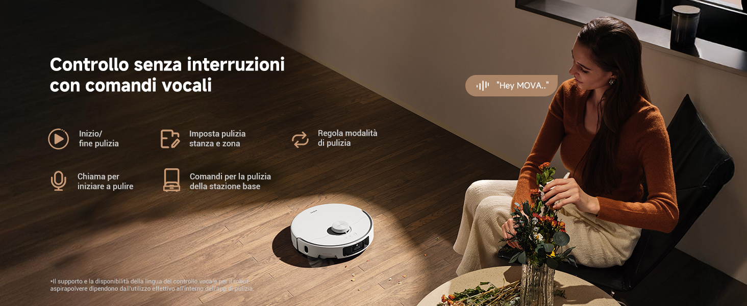 Voice Control