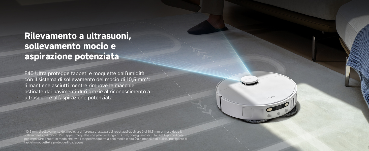 Ultrasonic Carpet Detection