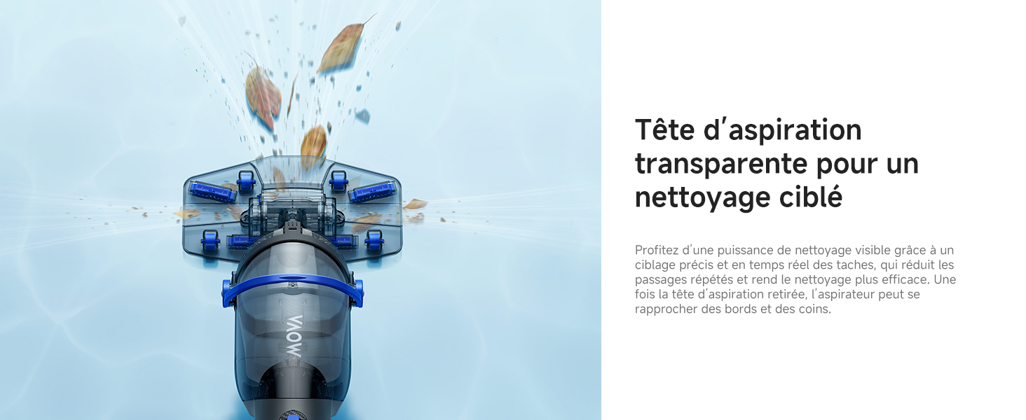Tête transparente