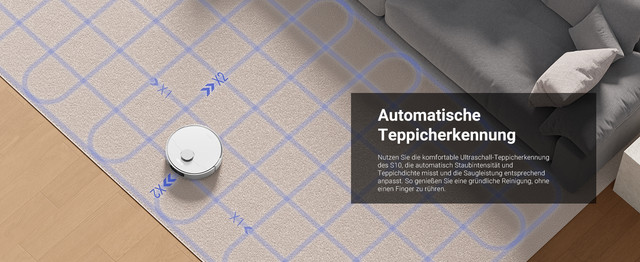 Teppichreinigungsmodus