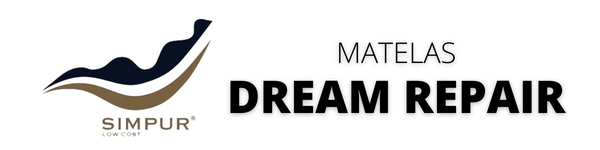 banner-DREAM-REPAIR