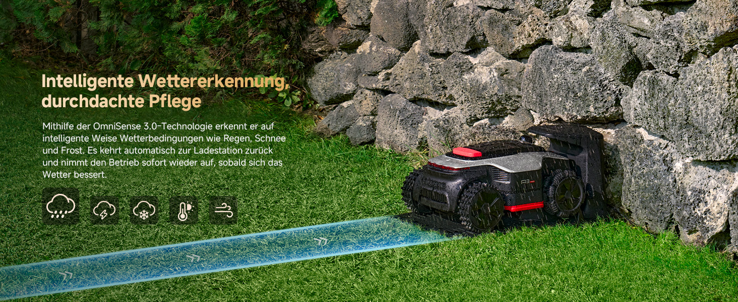 A3 AWD 1000-EUA German detail image 21