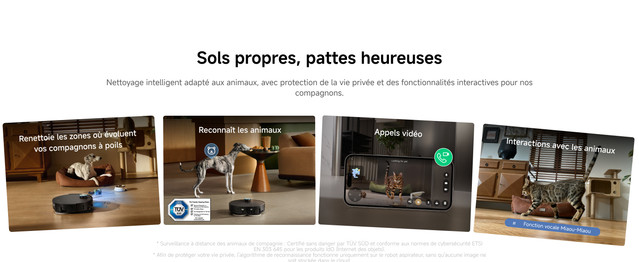 6-2-Pet-Friendly-Cleaning
