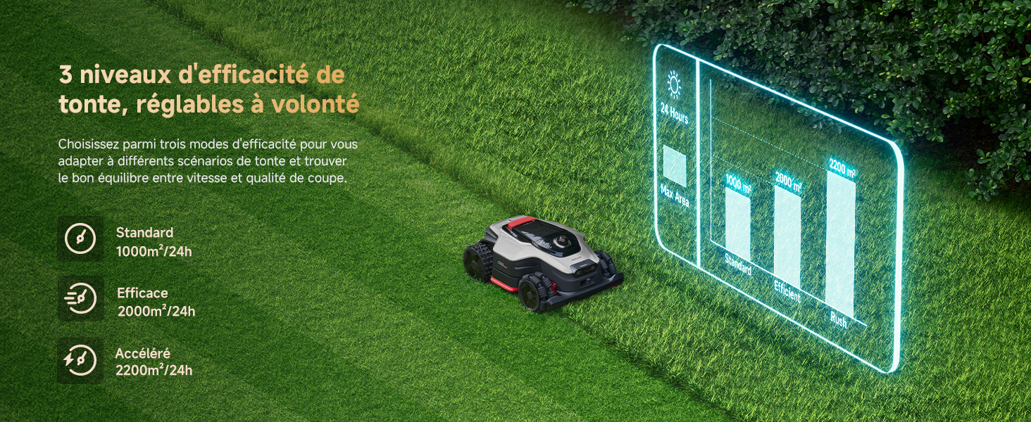 A3 AWD 1000-EUA French detail image 28