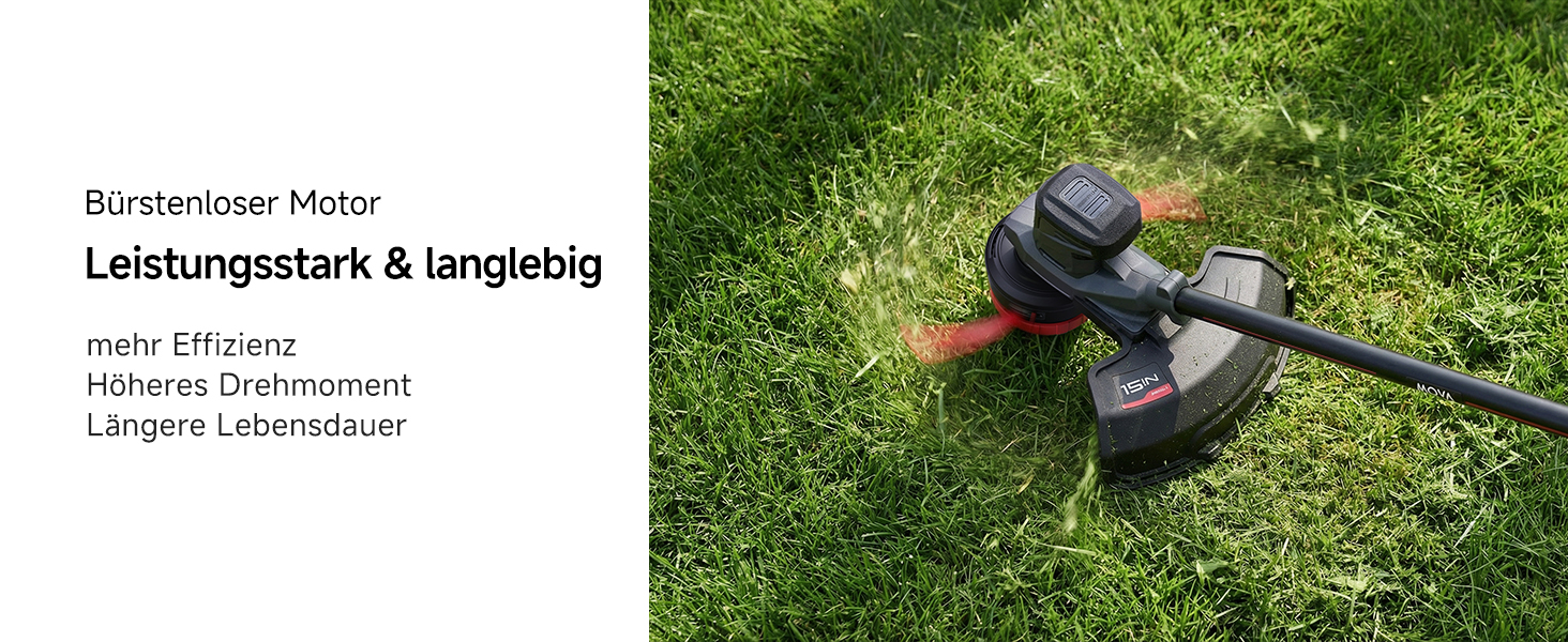 Brushless Motor