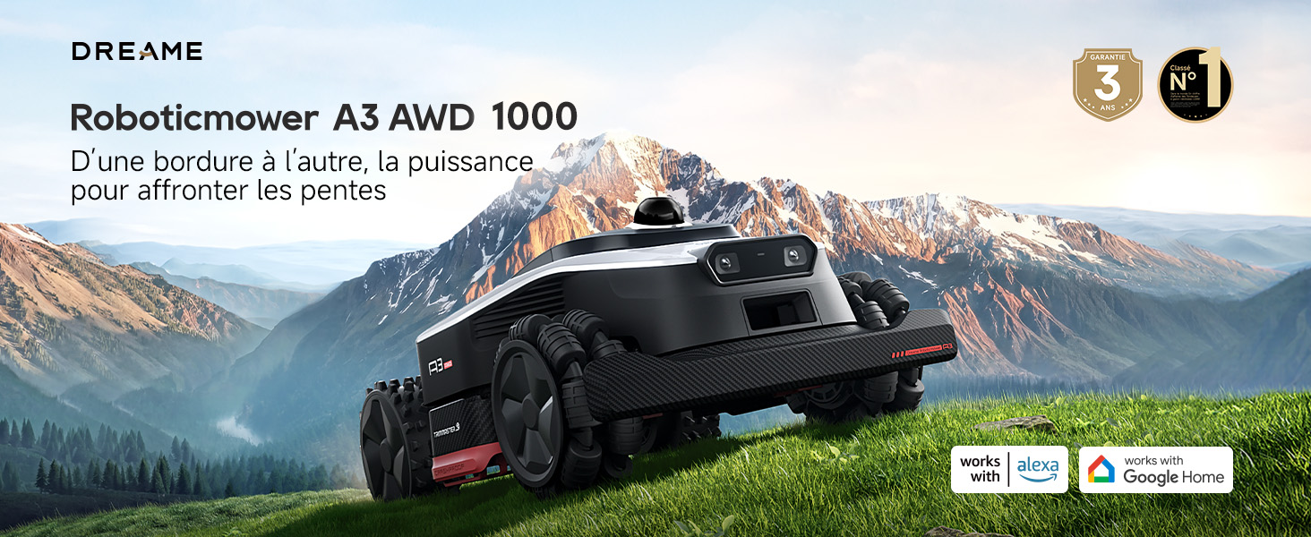 A3 AWD 1000-EUA French detail image 01