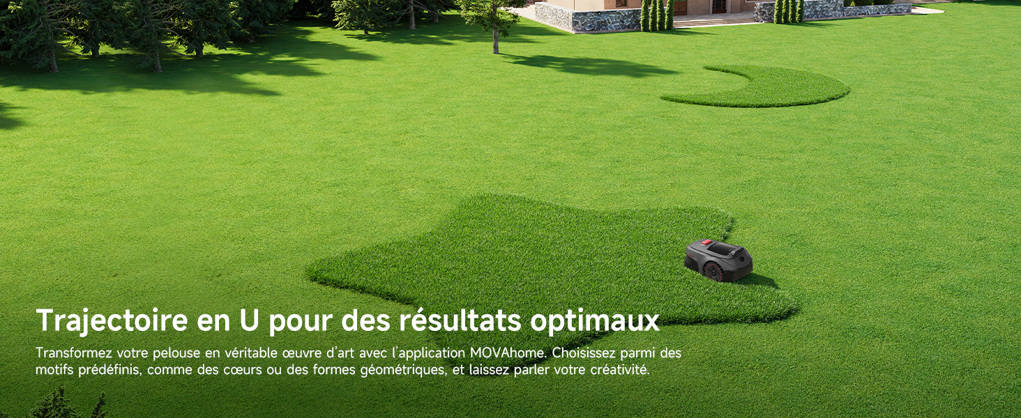 Creative Lawn Patterns
