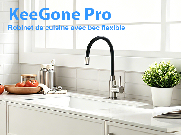 KeeGone Pro - Robinet de cuisine avec bec flexible