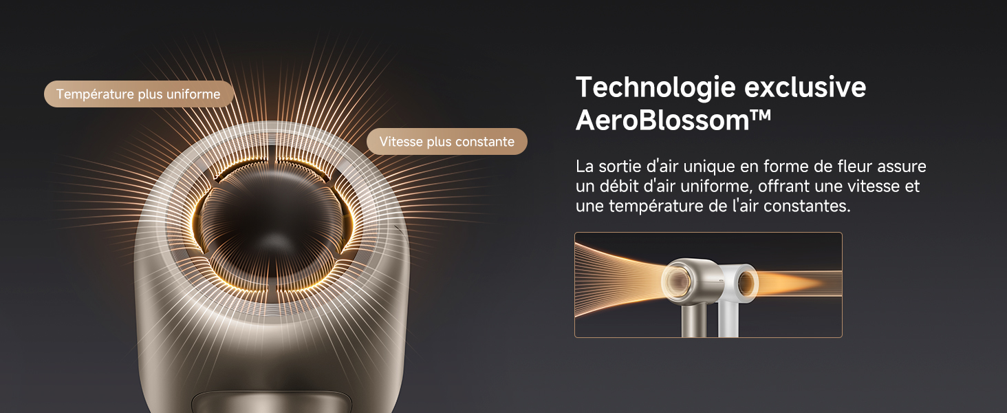 PC-02-Exclusive-Aero-Blossom