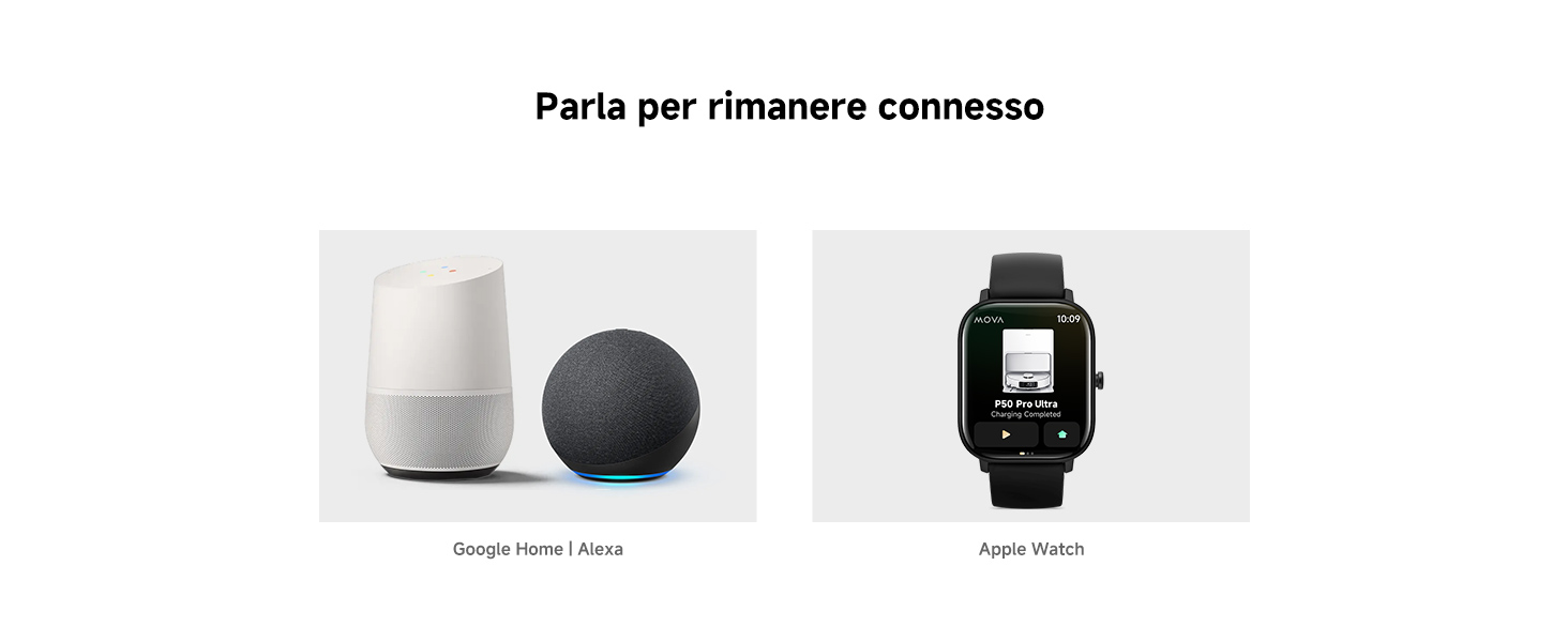 Voice Assistant Support 2