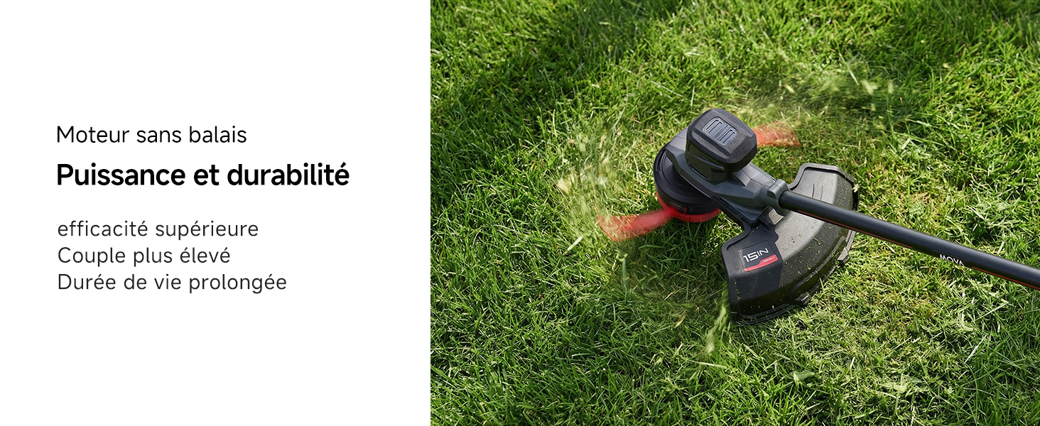 Brushless Motor