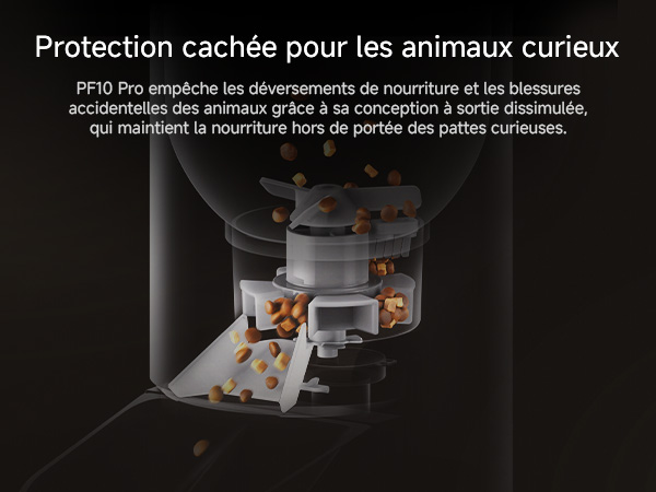 APP-06-1-Hidden-Protection
